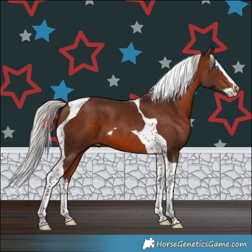 Horse Color:Silver Brown Splash Tobiano 