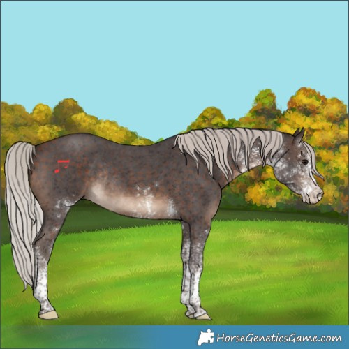 Horse Color:White Spotted Silver Brown Tobiano Rabicano 