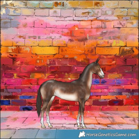 Horse Color:Liver Chestnut Rabicano 