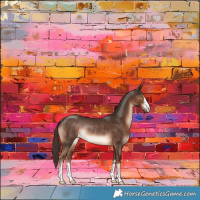 Horse Color:Liver Chestnut Rabicano 