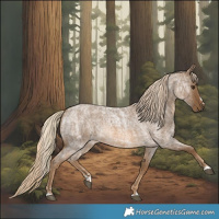 Horse Color:Chocolate Palomino Roan  and Chocolate Palomino Roan Rabicano 