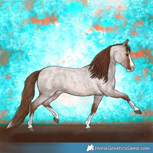 Horse Color:Red Roan Splash 