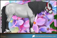 Horse Color:Bay Chinchilla 