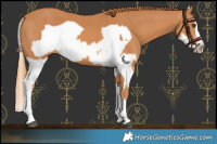Horse Color:Chestnut Splash Frame  and Chestnut Splash Frame 