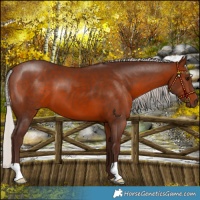 Horse Color:Silver Brown 