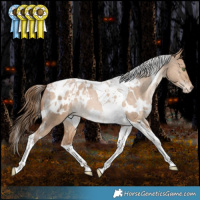 Horse Color:White Spotted Bay Snowdrop Pearl Dun Tobiano Appaloosa Rabicano