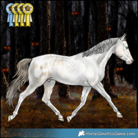Horse Color:White Spotted Bay Snowdrop Pearl Dun Tobiano Appaloosa Rabicano 