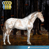 Horse Color:White Spotted Bay Pearl Dun Tobiano Appaloosa Rabicano 