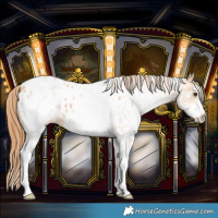 Horse Color:White Spotted Red Dun Near Leopard 