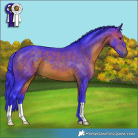 Horse Color:Watercolor Brown 