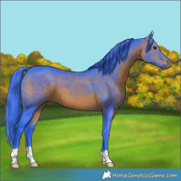 Horse Color:Watercolor Brown 