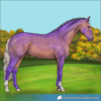 Horse Color:Watercolor Silver Brown
