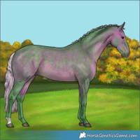 Horse Color:Watercolor Silver Brown 