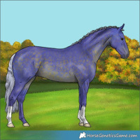 Horse Color:Watercolor Silver Brown 