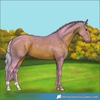Horse Color:Watercolor Silver Brown 