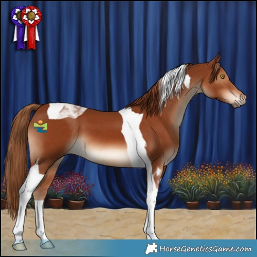 Horse Color:Chestnut Tobiano 
