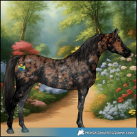 Horse Color:Void Bay Sabino 