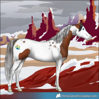Horse Color:Bay Splash Tobiano 
