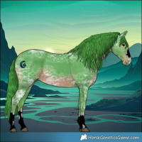 Horse Color:Watercolor Black Ice