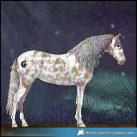 Horse Color:Nacre Silver Black Ice Tobiano Rabicano