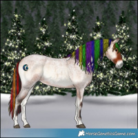 Horse Color:Painted Bay Roan Onyx