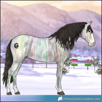 Horse Color:Bay Ice 
