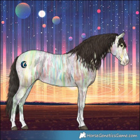 Horse Color:Bay Ice 