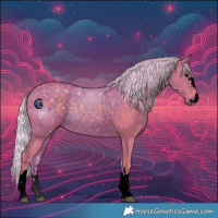 Horse Color:Void Watercolor Silver Black Rabicano 