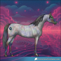 Horse Color:Nacre Blue Roan 