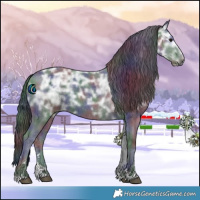 Horse Color:Nacre Black Ice 