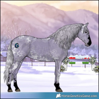 Horse Color:Void Watercolor Silver Black Ice Rabicano 