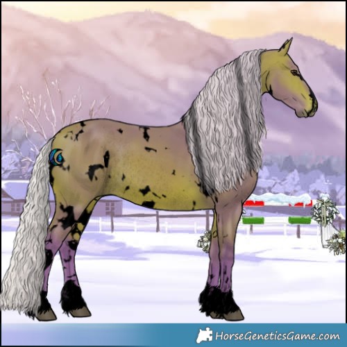 Horse Color:Void Watercolor White Spotted Silver Bay Rabicano 