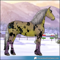 Horse Color:Void Watercolor White Spotted Silver Bay Rabicano