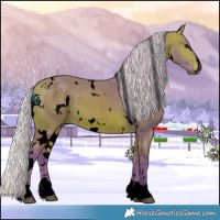 Horse Color:Void Watercolor White Spotted Silver Bay Rabicano 