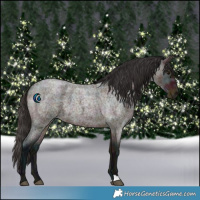 Horse Color:Midnight Bay Ice Roan 