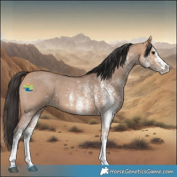 Horse Color:White Spotted Bay Dun 