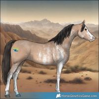 Horse Color:White Spotted Bay Dun 