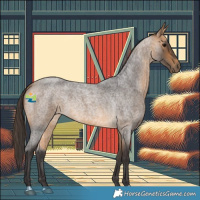 Horse Color:Buckskin Roan 