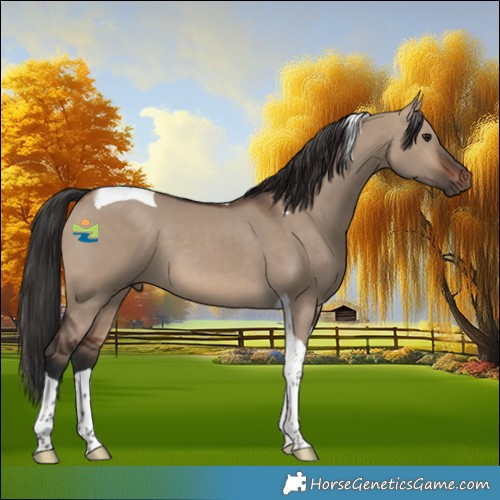 Horse Color:Brown Dun Tobiano 