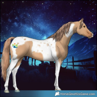 Horse Color:Red Dun Tobiano 