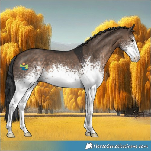 Horse Color:White Spotted Brown Dun 