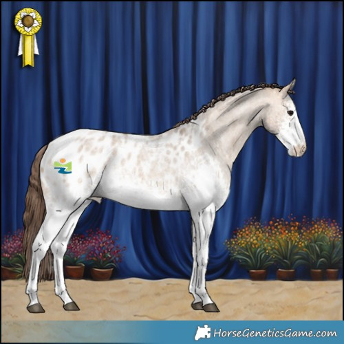 Horse Color:White Spotted Bay Roan Dun Appaloosa 