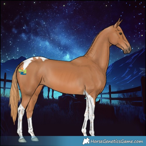 Horse Color:Chestnut Tobiano 