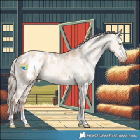Horse Color:Gold Champagne Dun Appaloosa 