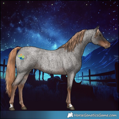 Horse Color:Liver Red Roan 