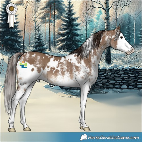 Horse Color:White Spotted Liver Red Dun Splash 