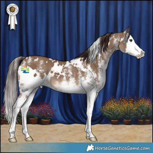 Horse Color:White Spotted Liver Red Dun Splash 