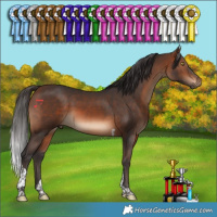 Horse Color:Brown Tobiano 
