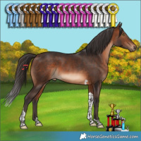 Horse Color:Brown Tobiano 