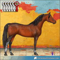 Horse Color:Brown Tobiano